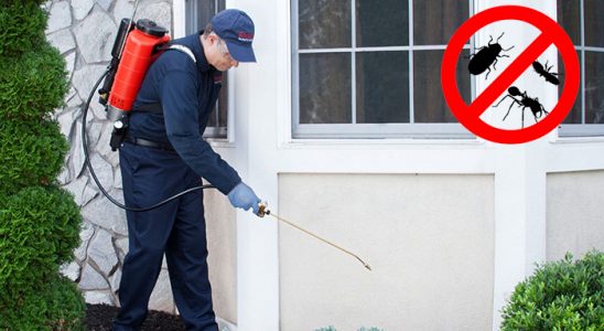 Döşemealtı Gümüşkurt İlaçlama böcek ilaçlama ve haşere kontrolü — ilaclama-tr.com